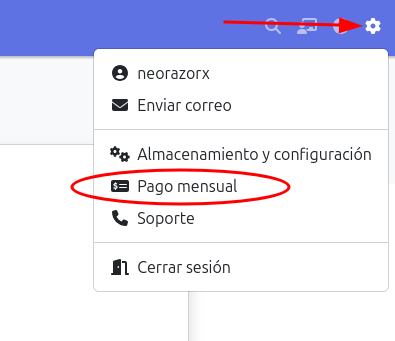 pago mensual del negocio